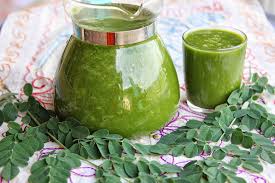 Ernte der exklusiven Moringa Baum Patenschaft